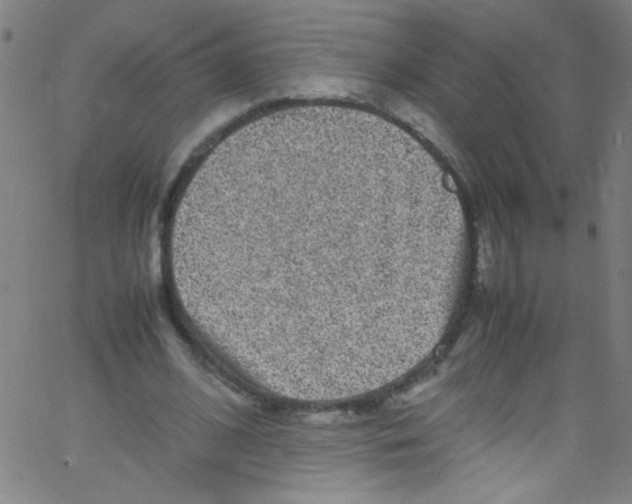 X0000067400584200604281910