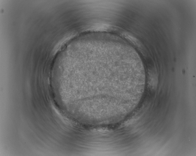 X0000067400586200604281910