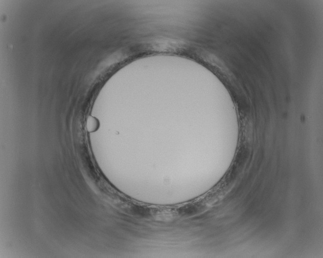 X0000067400587200604281910