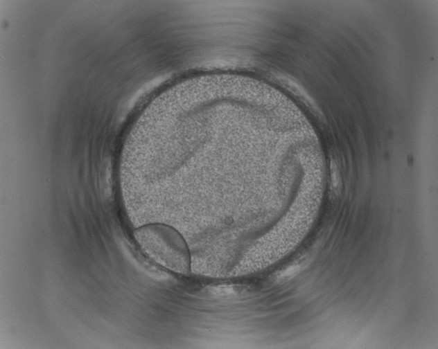 X0000067400588200604281910