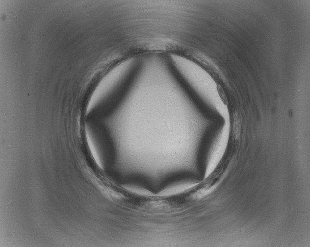 X0000067400589200604281910