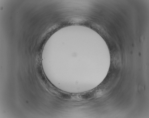 X0000067400591200604281910