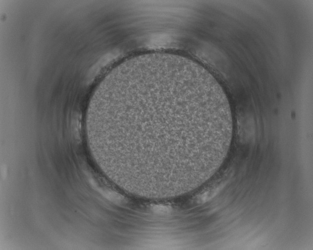 X0000067400592200604281910