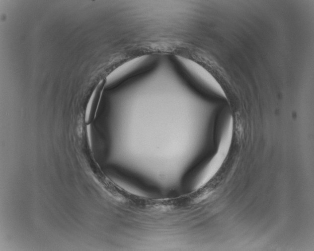 X0000067400593200604281910