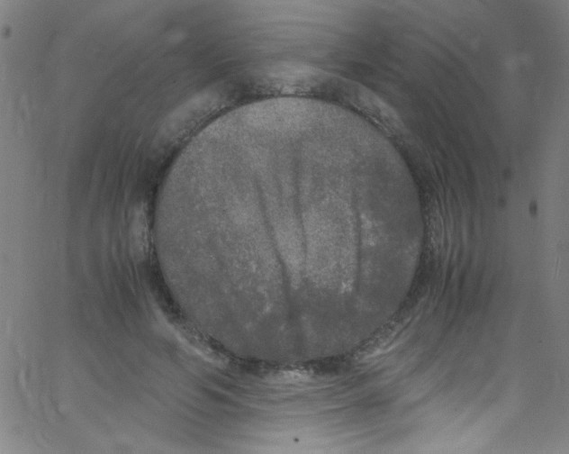 X0000067400594200604281910