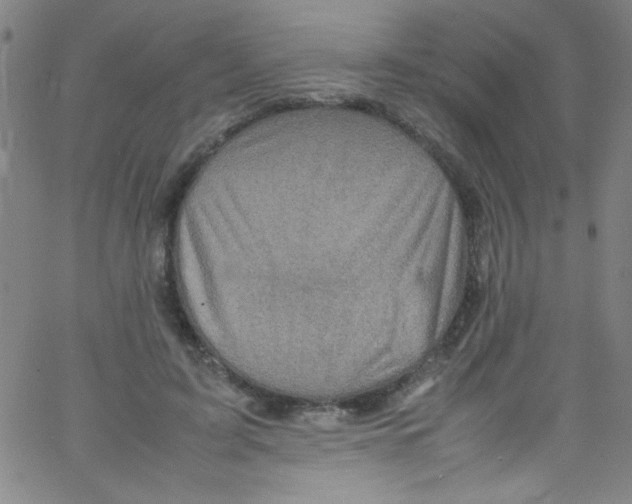 X0000067400595200604281910