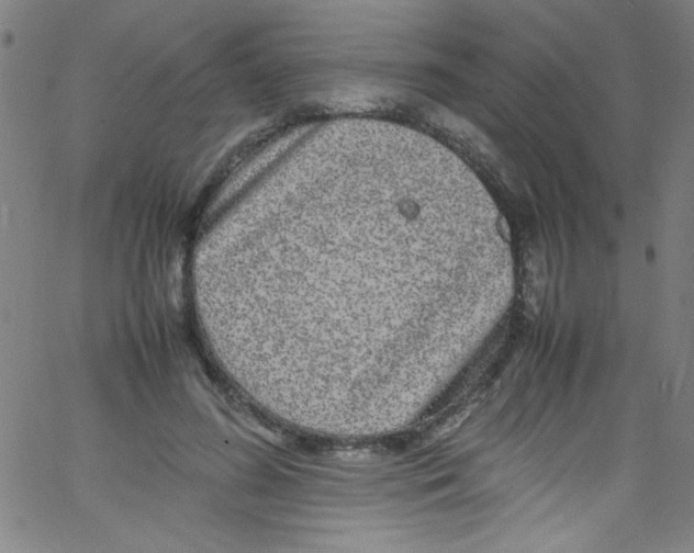 X0000067400596200604281910