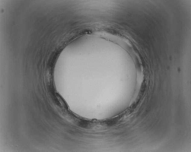 X0000067400597200604281910