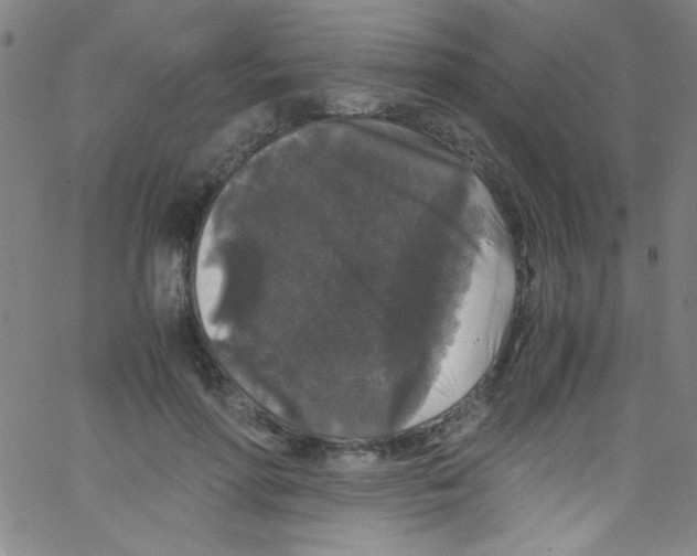 X0000067400598200604281910