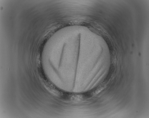 X0000067400599200604281909