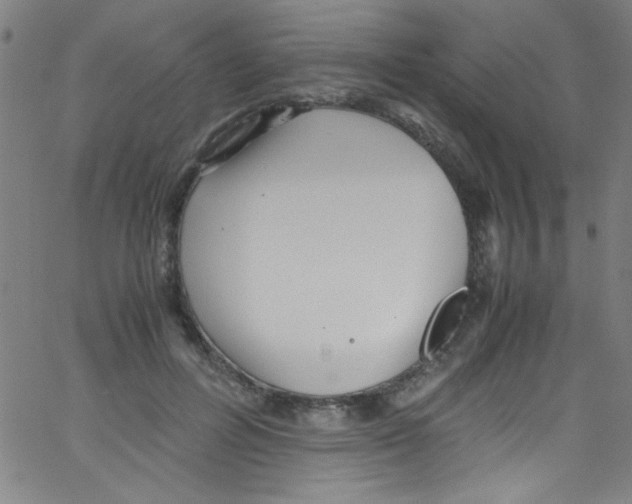 X0000067400600200604281909