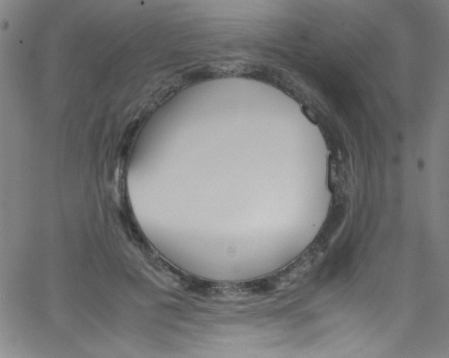 X0000067400601200604281909