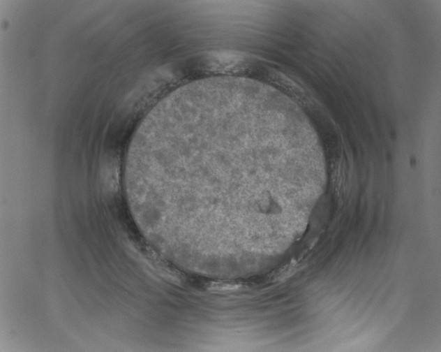 X0000067400602200604281909