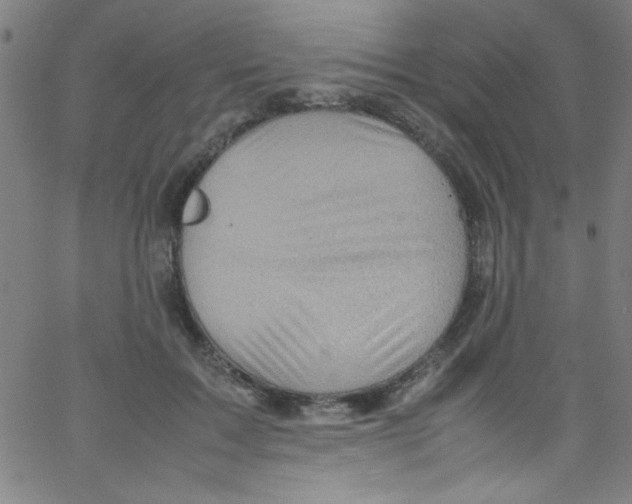 X0000067400603200604281909