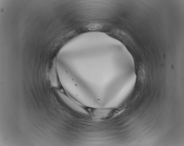 X0000067400604200604281909