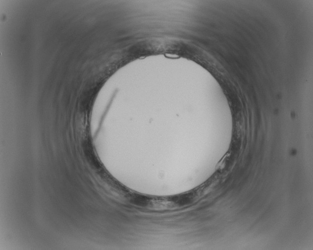 X0000067400605200604281909