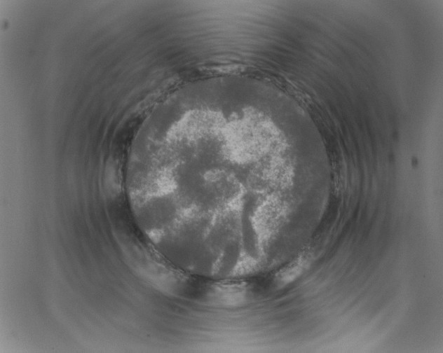 X0000067400606200604281909