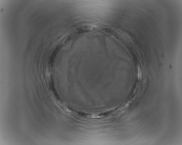 X0000067400607200604281909