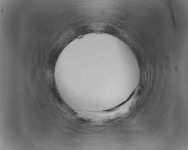 X0000067400609200604281909