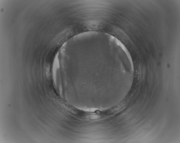 X0000067400610200604281909