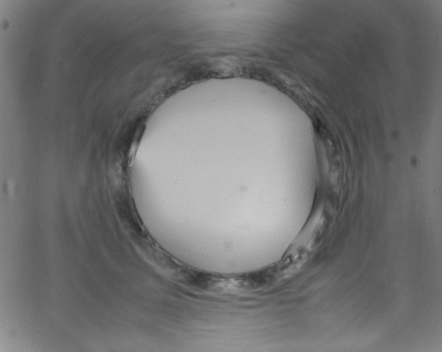 X0000067400611200604281909