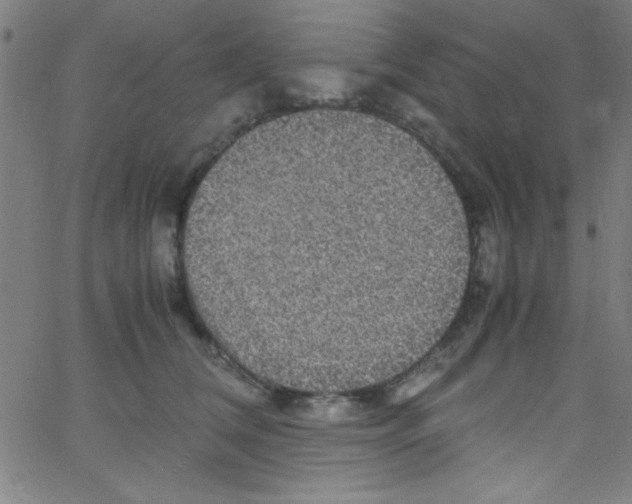 X0000067400612200604281909