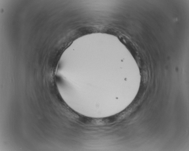 X0000067400613200604281909