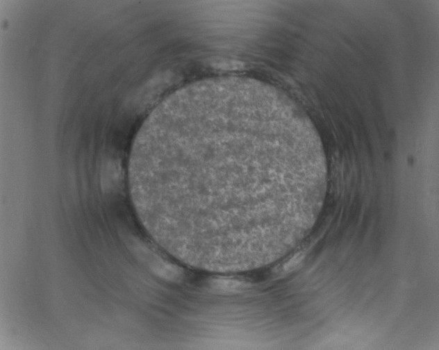 X0000067400614200604281909