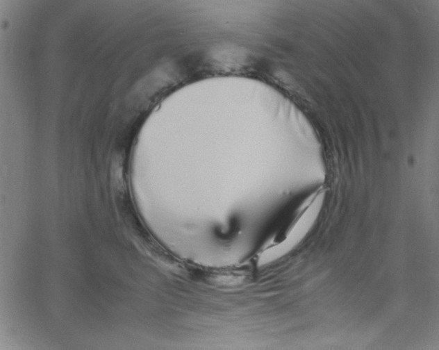 X0000067400615200604281909