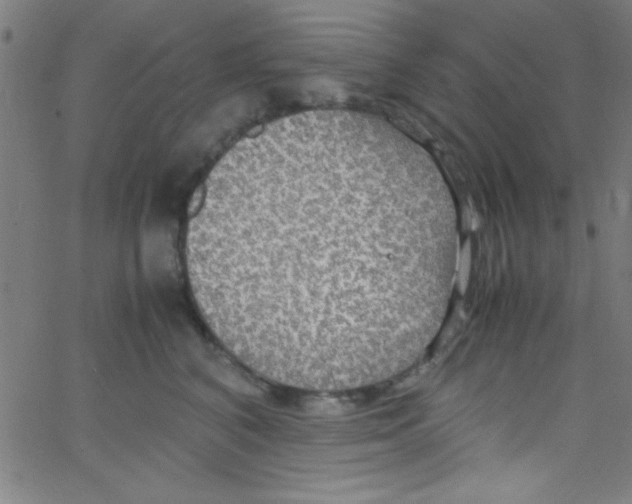 X0000067400616200604281909