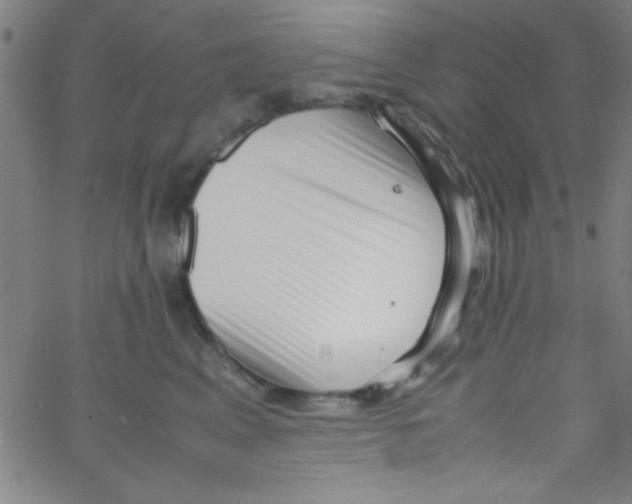 X0000067400617200604281909