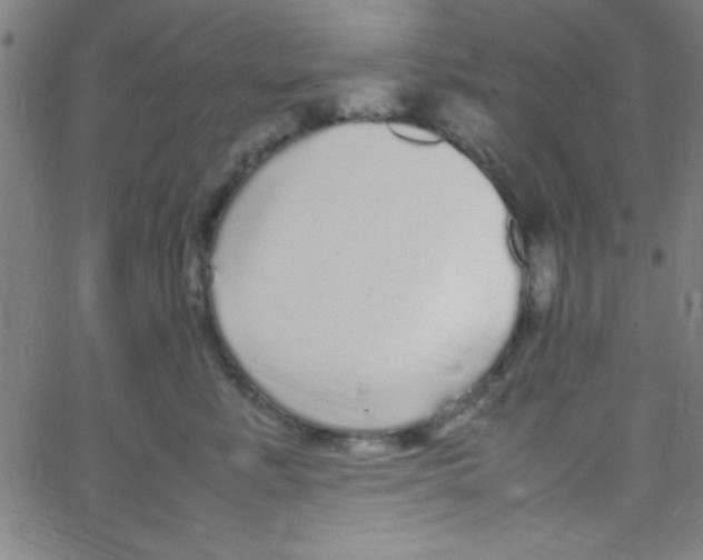 X0000067400619200604281909