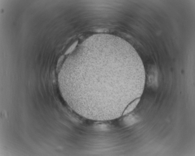 X0000067400620200604281909