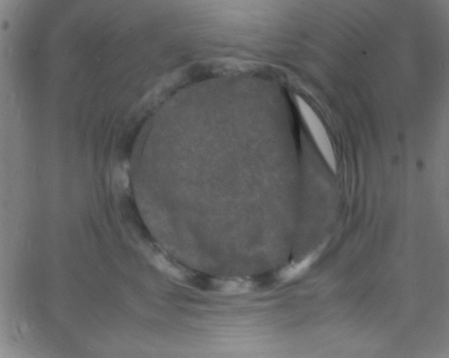 X0000067400621200604281909