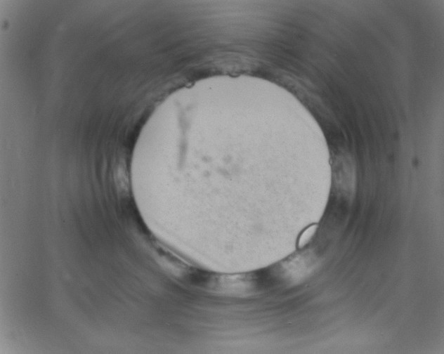 X0000067400622200604281909