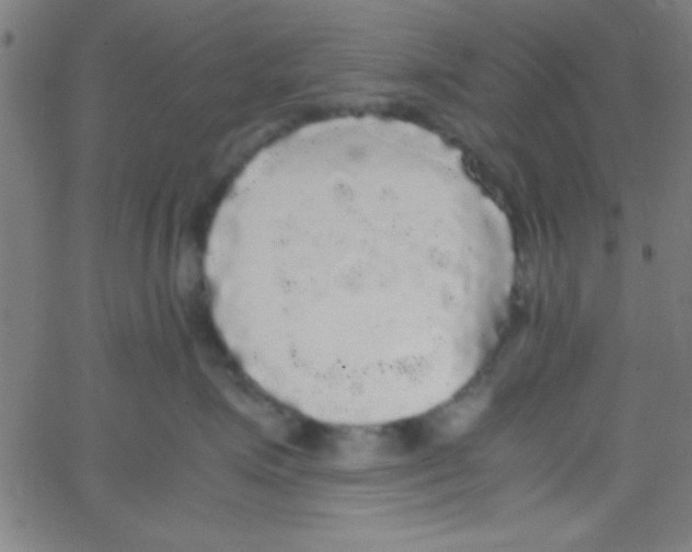 X0000067400623200604281909