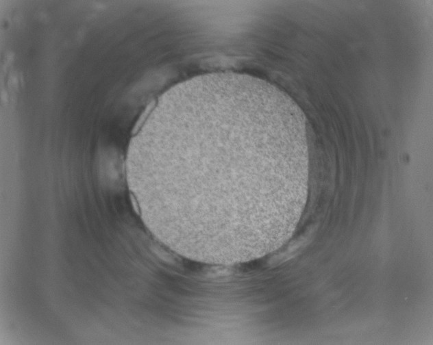 X0000067400624200604281909