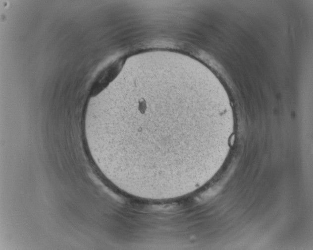 X0000067400625200604281908