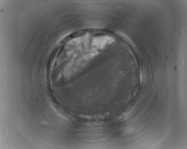 X0000067400627200604281908