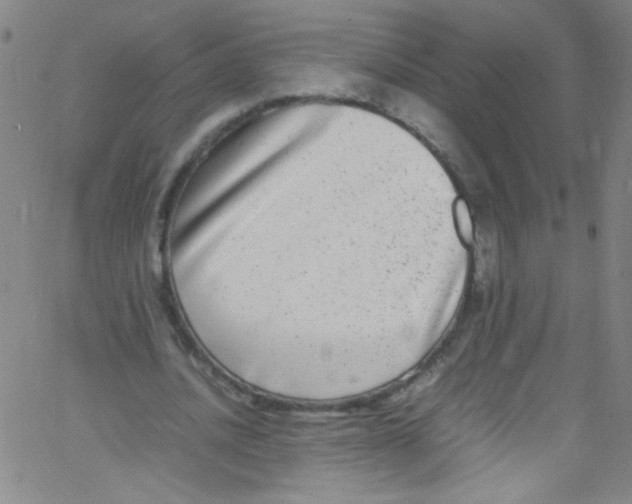 X0000067400628200604281908