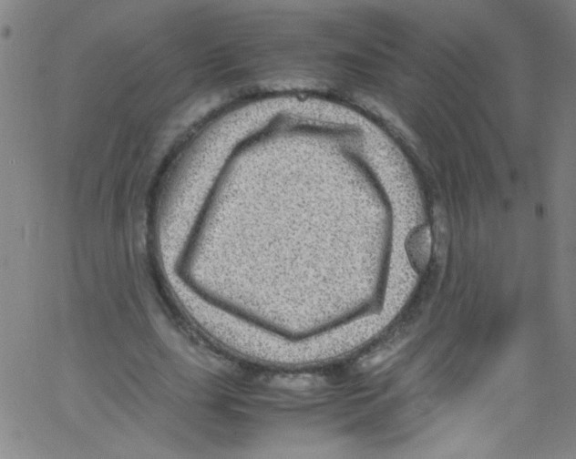 X0000067400631200604281908