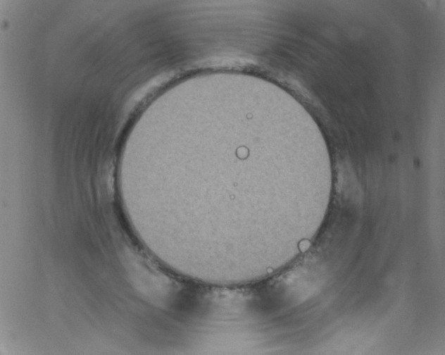 X0000067400632200604281908