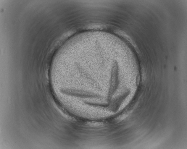 X0000067400633200604281908