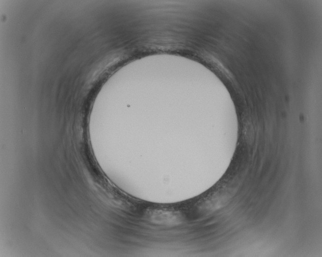 X0000067400635200604281908