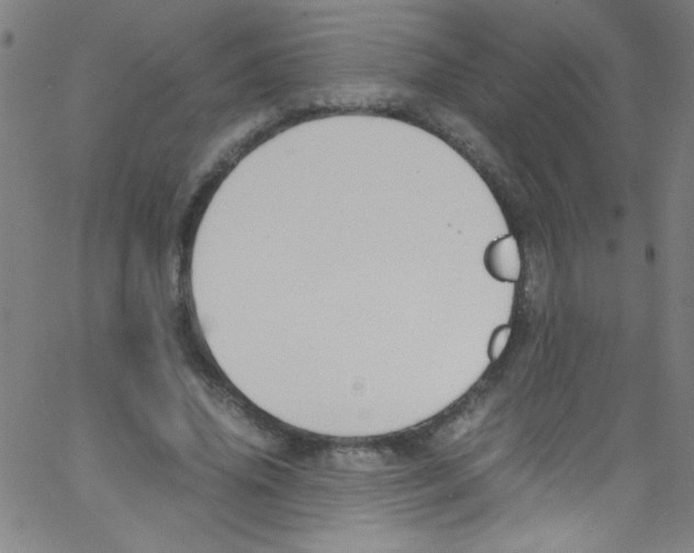 X0000067400636200604281908