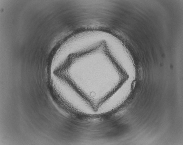 X0000067400638200604281909