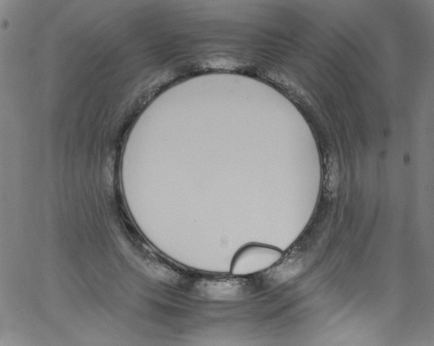 X0000067400639200604281909