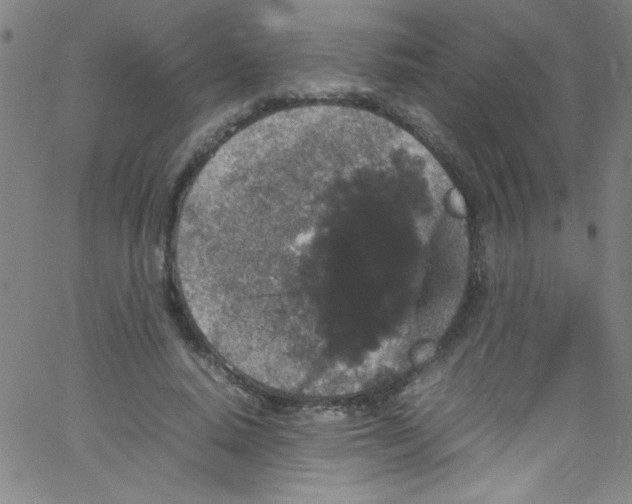 X0000067400640200604281909