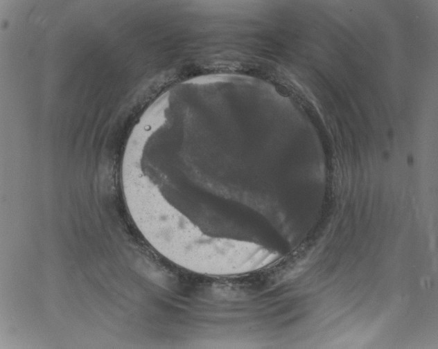 X0000067400641200604281909