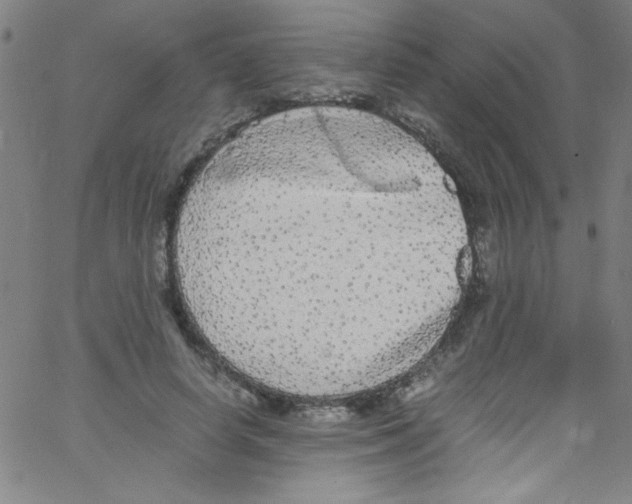 X0000067400642200604281909